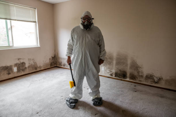 Best Mold Testing and Removal  in Highland Springs, VA